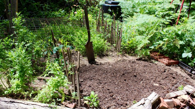 Start by mixing compost into the soil, breaking up any clods of dirt along the way. 