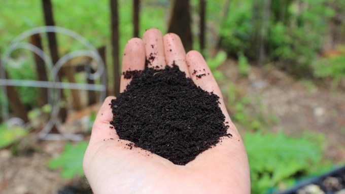 Always add worm castings to your garden!